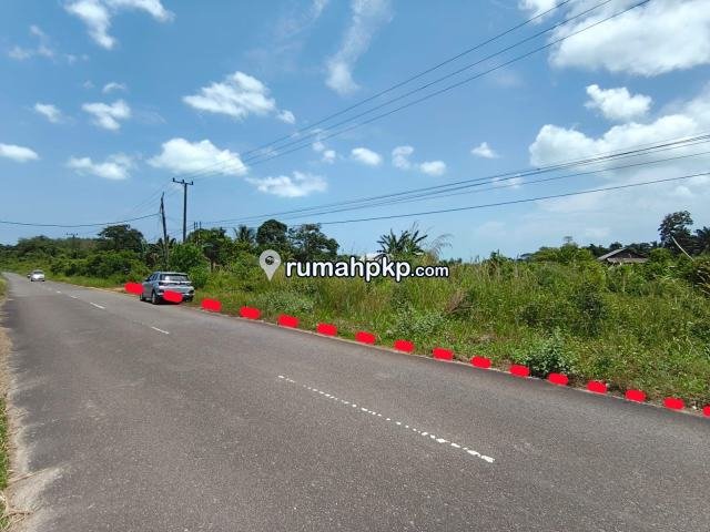 Tanah 10.300 m² di Tanjung Gunung — SHM, Pinggir Jalan Aspal — foto 1