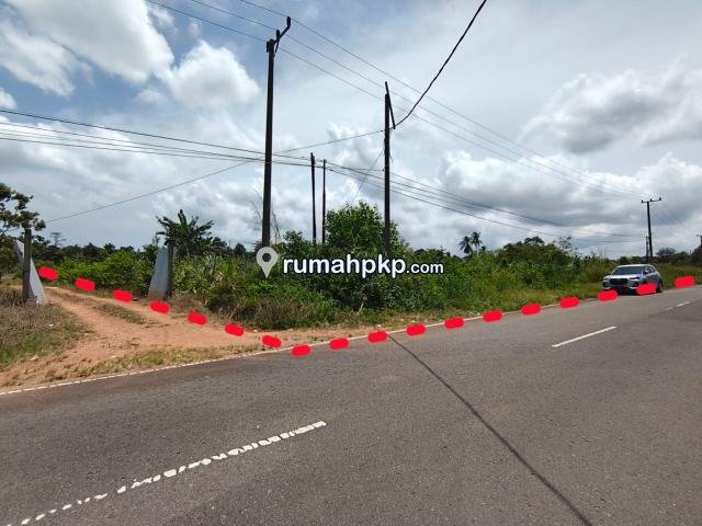 Tanah 10.300 m² di Tanjung Gunung — SHM, Pinggir Jalan Aspal — foto 2