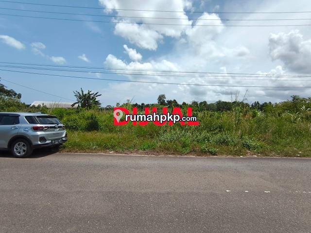 Tanah 10.300 m² di Tanjung Gunung — SHM, Pinggir Jalan Aspal — foto 1