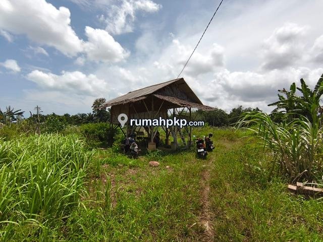 Tanah 10.300 m² di Tanjung Gunung — SHM, Pinggir Jalan Aspal — foto 4